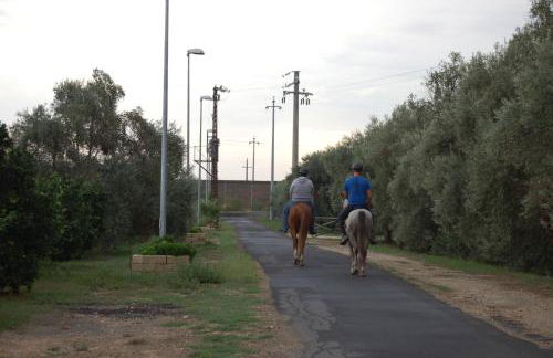 Il Giardino del sole - Foto 74