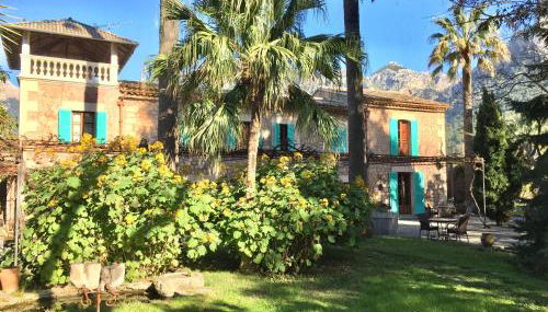 Finca Cas Sant - Foto 2, Garden