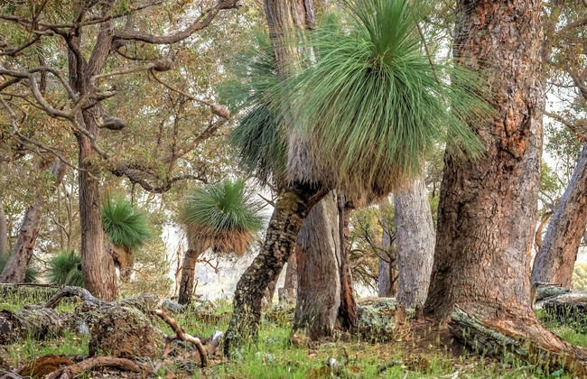 Bussells Bushland Cottages - Photo 21