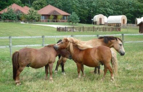 Airport Paris Eiffel Tower Center Roissy CDG - Foto 30