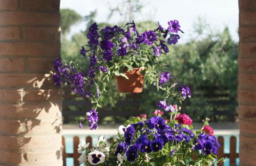 Casa Vacanze L'Oliveta - Foto 25