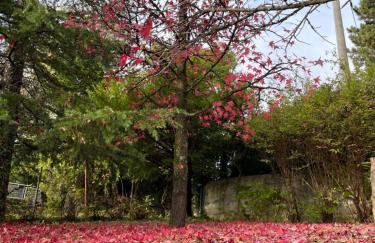 Vlaškovec Experience - Photo 43