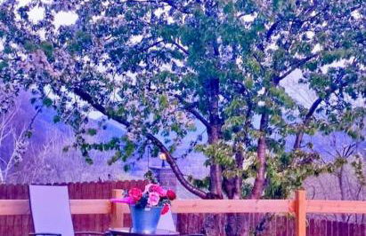 La Era de Lardiés - Photo 22