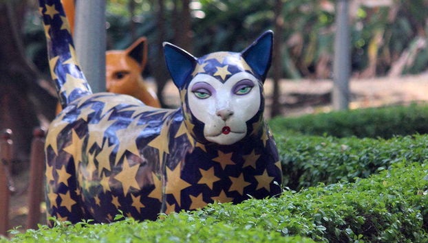 Cali Panoramic Tour - Foto 3