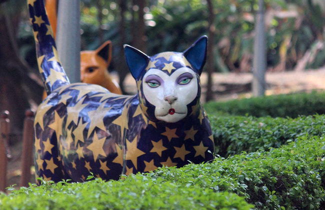 Cali Panoramic Tour - Foto 3