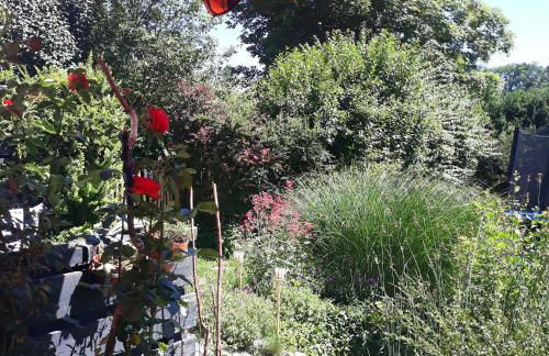 #staywild29 - Gemütliche Ferienwohnung im Allgäu - Foto 3