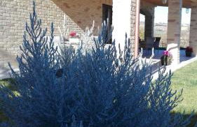 B&B CasalFarano - Foto 44