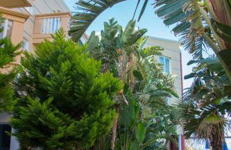 Futura Hotel - Foto 117