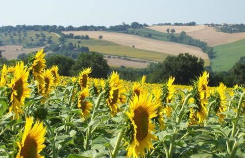 Apartment Wohnung mit Gemeinschaftsgarten und Pool by Interhome - Foto 4
