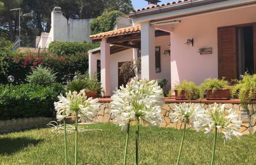 Le tre Palme - Foto 62