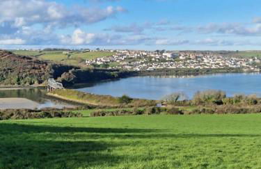 Shepherds haven hut Near Padstow - Foto 14