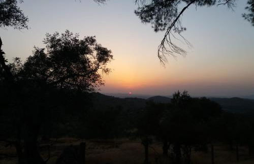 Casa Rural El Bonito - Photo 11