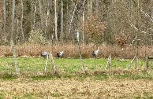 Herrenhaus Carolinenhof - Foto 23