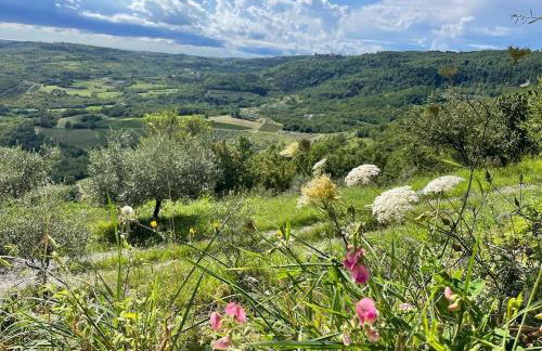 Bolara 60: the Cottage - Foto 44