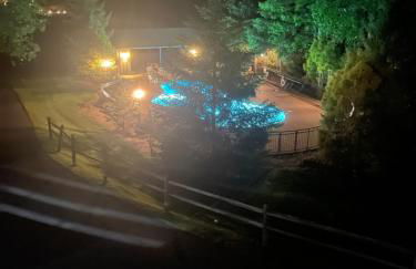 A River Runs Through It - Foto 3