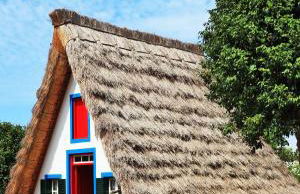 Rocha House - Foto 67