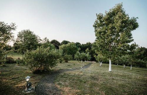 Villa Lara Varaždin - Beletinec - Foto 29