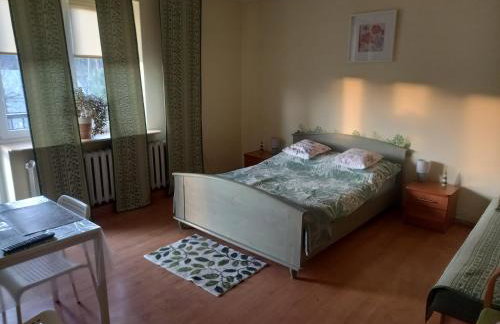 Owocowa Chojnata - Foto 5