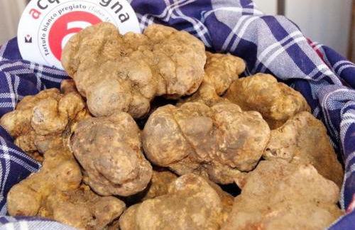 LA CASA DEI NONNI - Foto 6