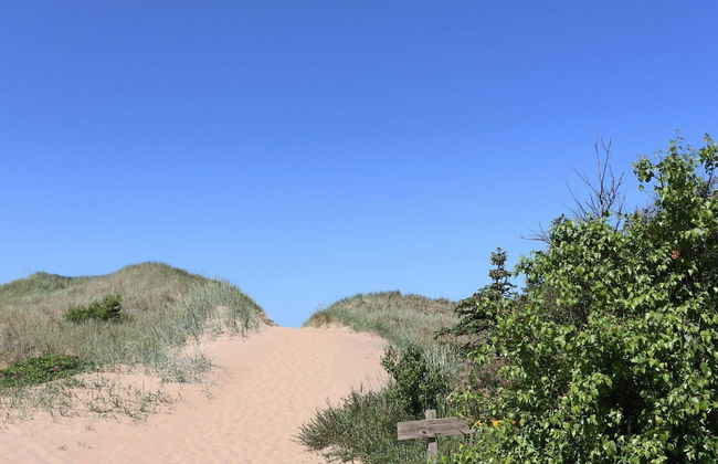 4 Star Holiday Home in Mellbystrand - Foto 21