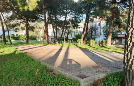 Una pineta sul mare - Riviera dei tramonti - Spiaggia a 300 m - Foto 17