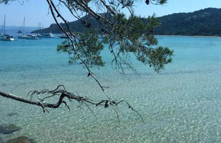 Appartement Cosy Calme Central-Terrasse Proche Palais - Foto 47