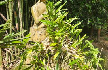 100mts beach Ribeirão da Ilha c Espaço Gourmet - Foto 47