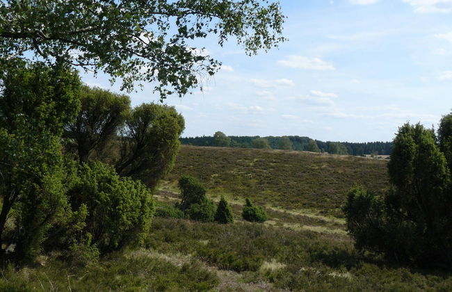 Heathside Family Retreat - Foto 13