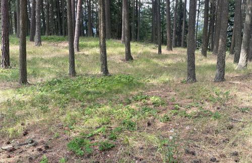 Living Well Lodge with Panoramic Views - Foto 21