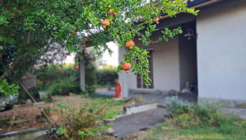 Apartament Cedro del Libano - Photo 5, Garden, Garden view
