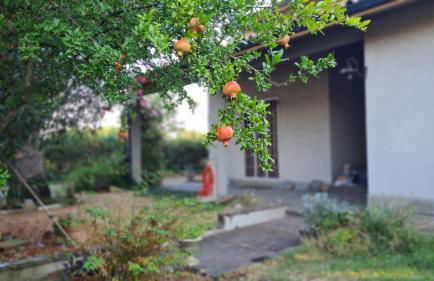 Apartament Cedro del Libano - Photo 6