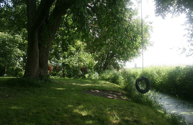 Authentic Farmhouse in Pingjum With Hot Tub - Photo 21