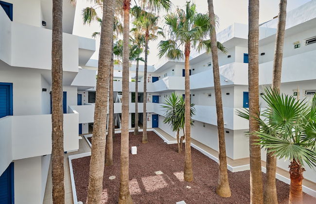 Hipotels Apartamentos Cala Bona - Photo 14