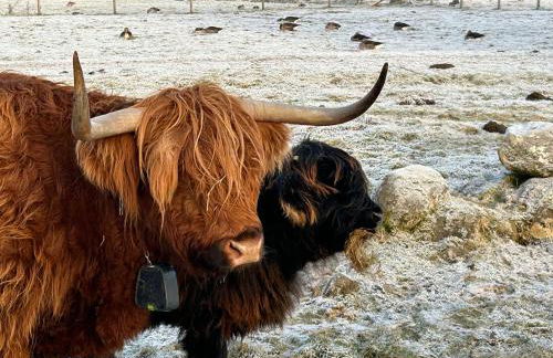 Glenhill Lodge - Foto 25