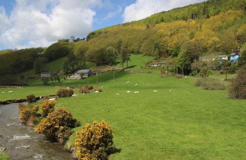 Tŷ Melindwr - Foto 32