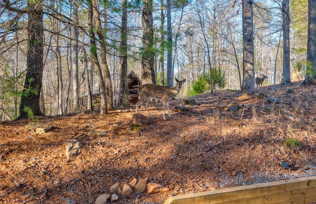 Deer Watch Retreat - Photo 57