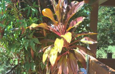 Casa Campo - Foto 79