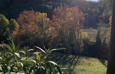 L'Olivier Fleurie Barjols - Foto 72