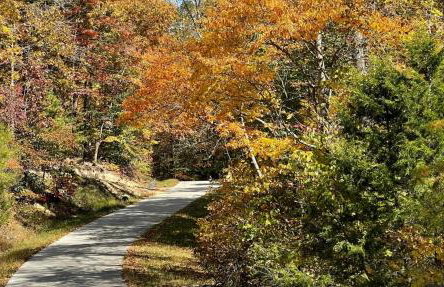 The Deer Run - Foto 21