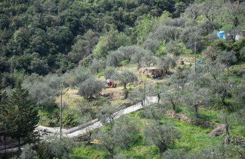 Nostro Rifugio - Foto 64