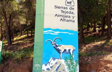 Casa Cervantes - Photo 44