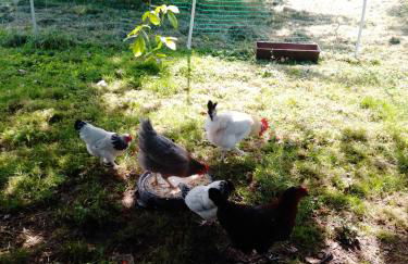 Apartment Meyerhof - Foto 12