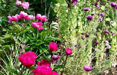 Central Apartment Linlithgow - Foto 28