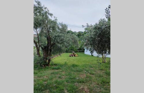 Olivia's Guest House - Foto 9