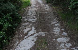 Fattoria di Mugnano - Foto 25