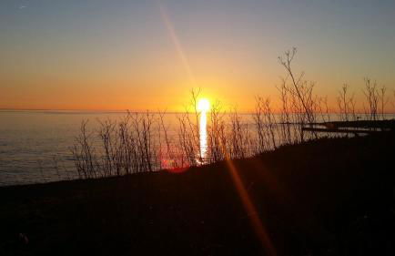 La Pomme de Mer - Foto 42