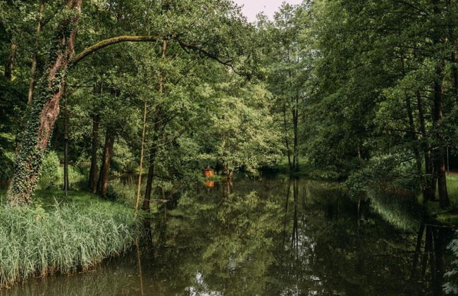 Apartment With Views of the Ore Mountains - Foto 29