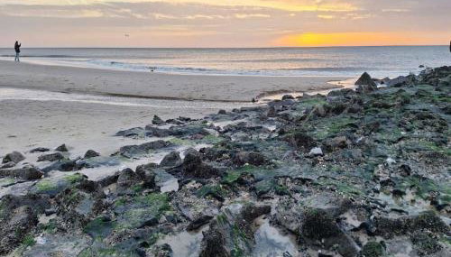 Apartment House Katharina, Westerland - Foto 2