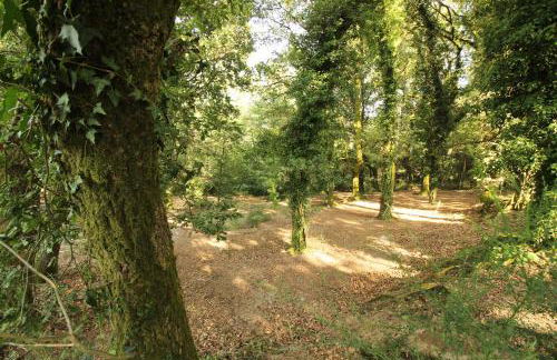 Quinta d'Areda Wine&Pool Experience - Foto 29