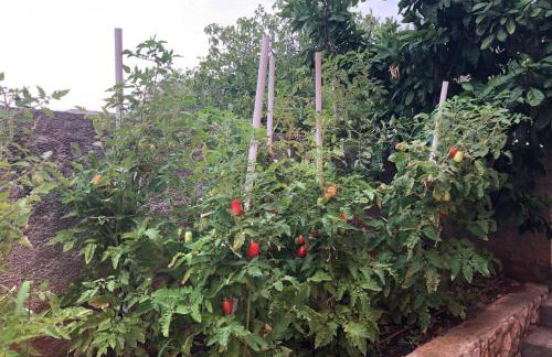 Villa Mimy - Foto 32